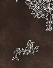 Nocturne Lace Vine Gothic Earrings